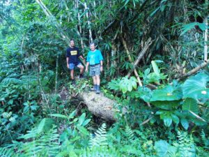 Bali Hash 2 Hash Trash Run #1317 St George's Day Run