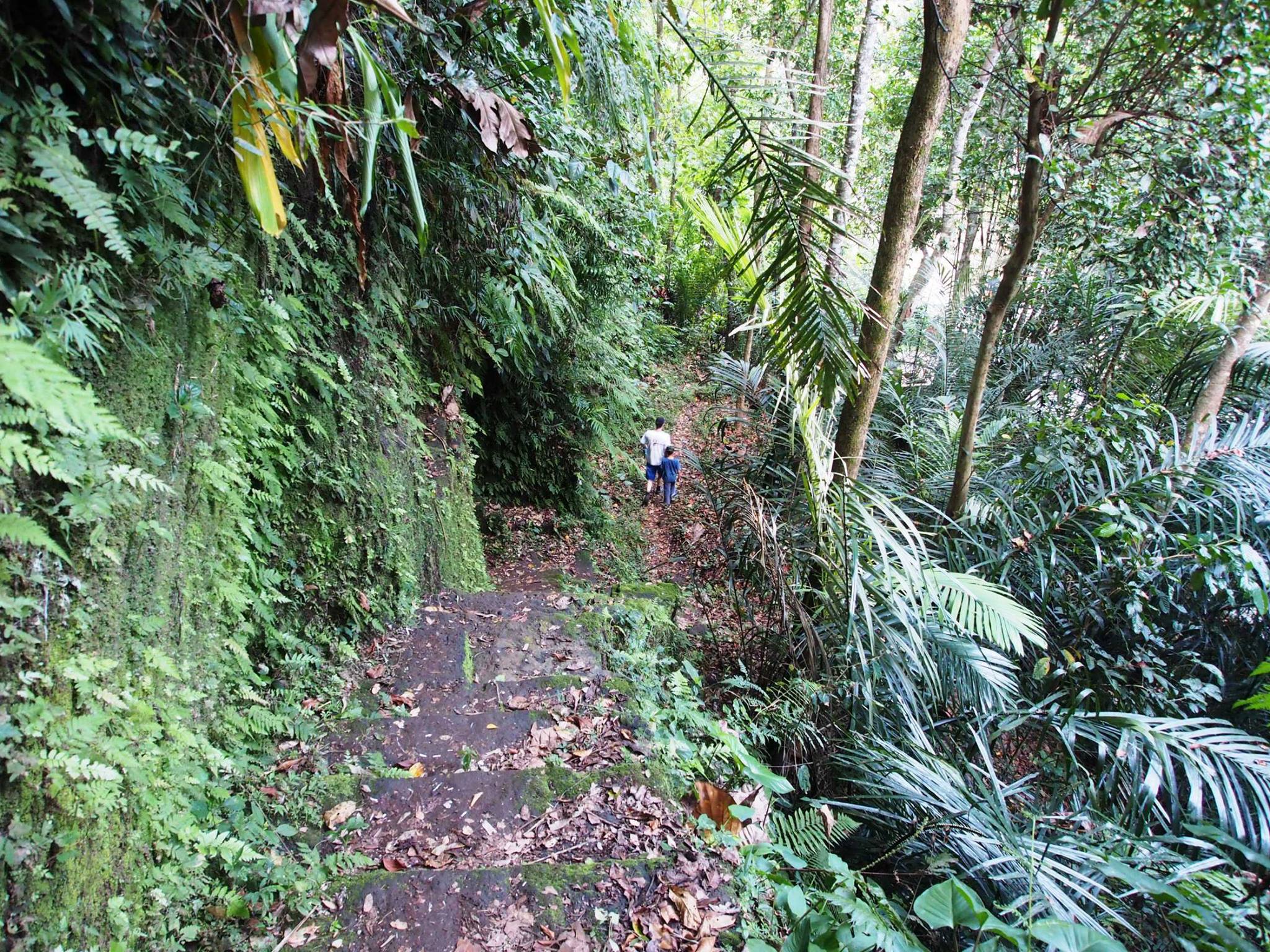 Run #1318 Anzac Day Run Photos