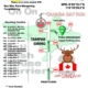 Bali Hash 2 Next Run Map #1431 Pura Mengening Tampaksiring Canada Day Run