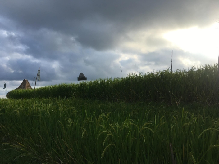 HASH TRASH & REFLECTIONS ON BALI HASH HOUSE HARRIERS II RUN #1476 GREEN KUBU TEGALALANG