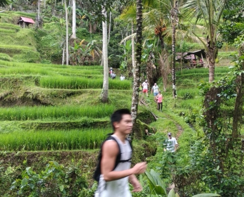 Bali Hash House Harriers 2 Tegalallang Run Photos