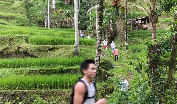 Bali Hash House Harriers 2 Tegalallang Run Photos