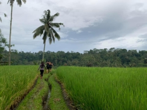 Bali Hash 2 Hash Trash Run #1486 Kedisan Tegallalang