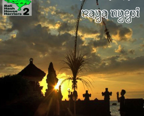 Bali Hash House Harriers 2 Hash Trash March 2021 Nyepi Edition