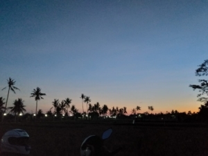 HASH TRASH AND TREES AT MONKEY RIVER KEMENUH