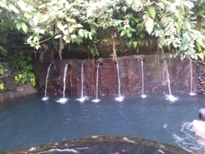 HASH TRASH AND TREES AT MONKEY RIVER KEMENUH