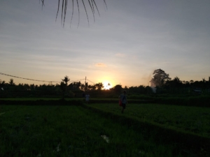 HASH TRASH AND TREES AT MONKEY RIVER KEMENUH