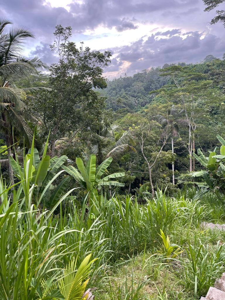 HASH TRASH BALI HHHII BUKIT JATI MAY DAY 2021