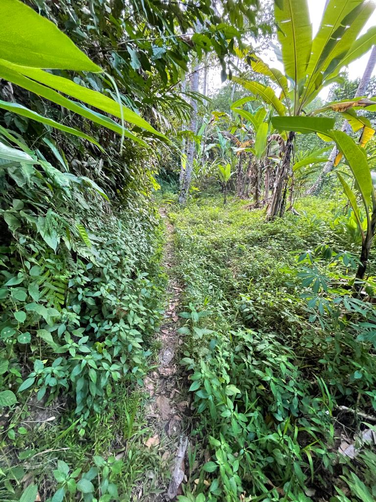 HASH TRASH BALI HHHII BUKIT JATI MAY DAY 2021