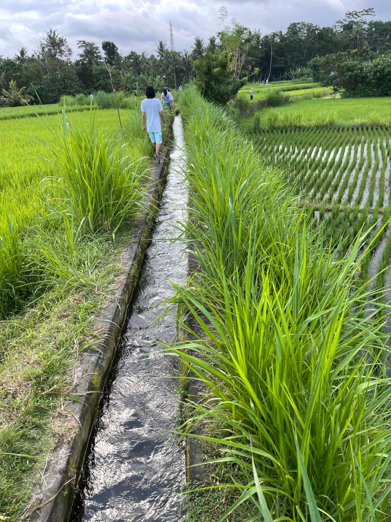 HASH TRASH BALI HHHII BUKIT JATI MAY DAY 2021