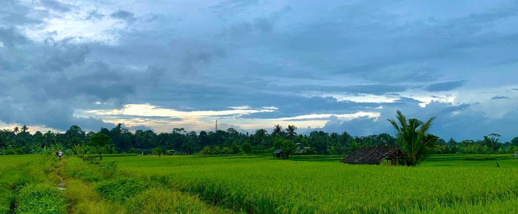 Bali Hash II Hash Trash ST ANDREWS DAY RUN JUNGJUNGAN