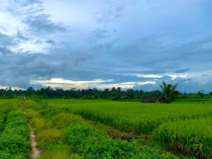 Bali Hash II Hash Trash ST ANDREWS DAY RUN JUNGJUNGAN