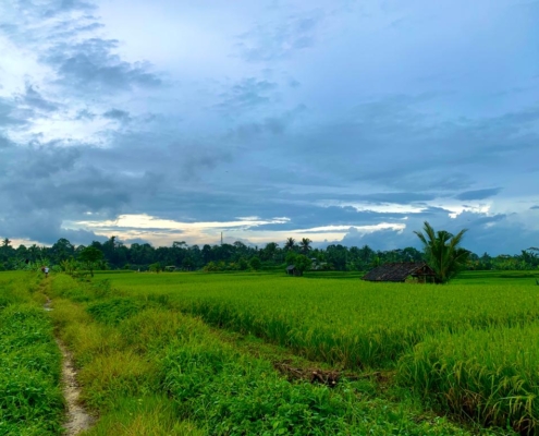 Bali Hash II Hash Trash ST ANDREWS DAY RUN JUNGJUNGAN