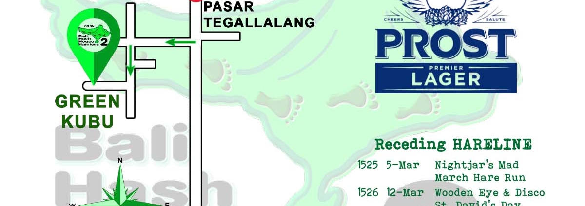 Next Run Map #1524 Green Kubu Tegallalang